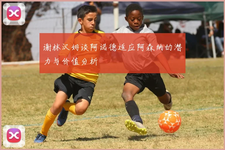 谢林汉姆谈阿诺德适应阿森纳的潜力与价值分析